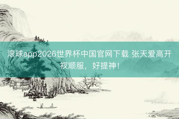 滚球app2026世界杯中国官网下载 张天爱高开衩顺服，好提神！